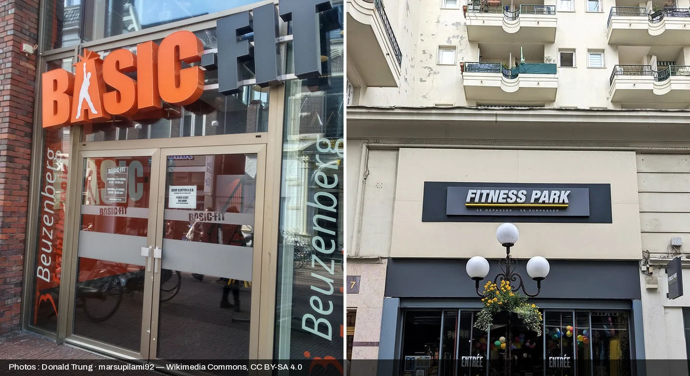 Basic-Fit vs Fitness Park : Comparatif Complet 2026