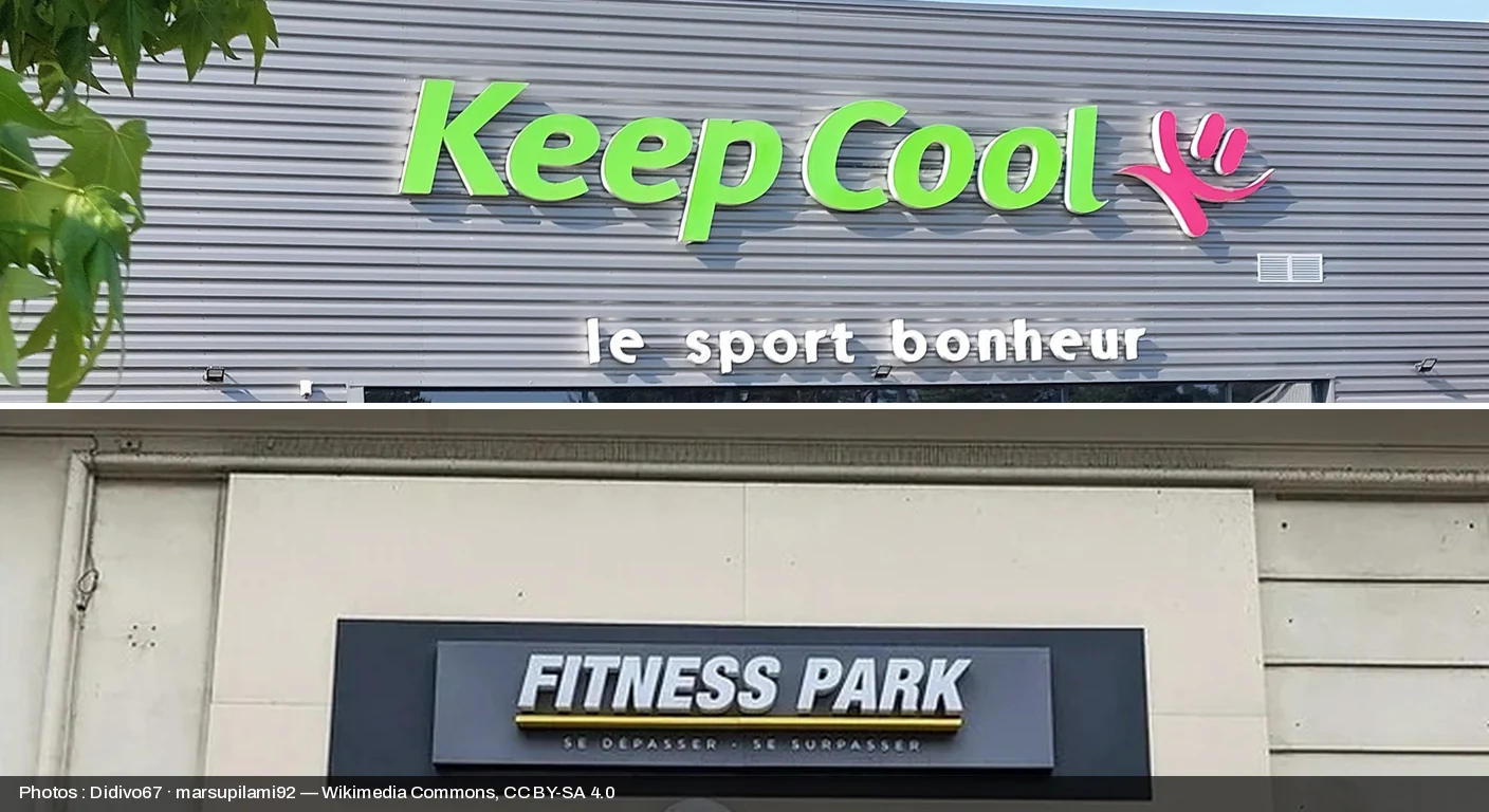 Keep Cool ou Fitness Park ? Club de Quartier contre Plateau Lourd